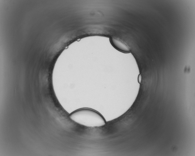 X0000111850207200909031735