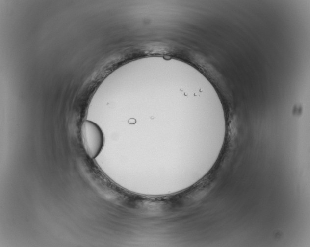 X0000111850209200909031735