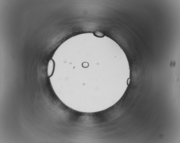 X0000111850211200909031735