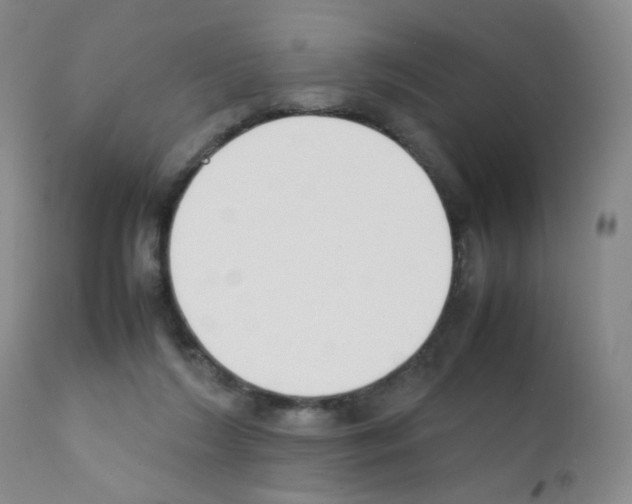 X0000111850212200909031735