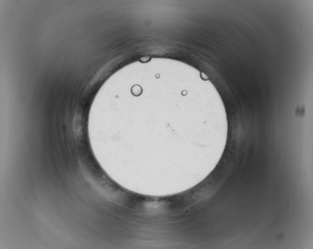 X0000111850216200909031735