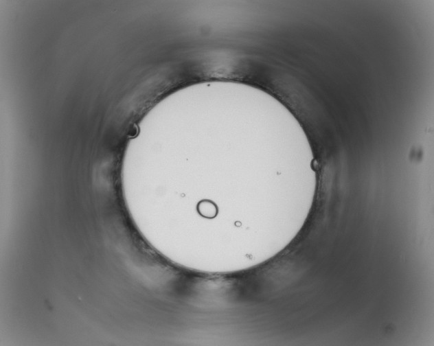 X0000111850217200909031735