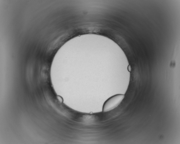 X0000111850218200909031735