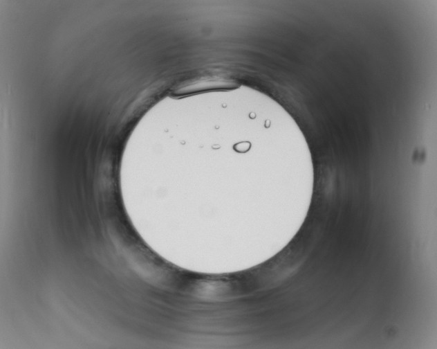 X0000111850220200909031735