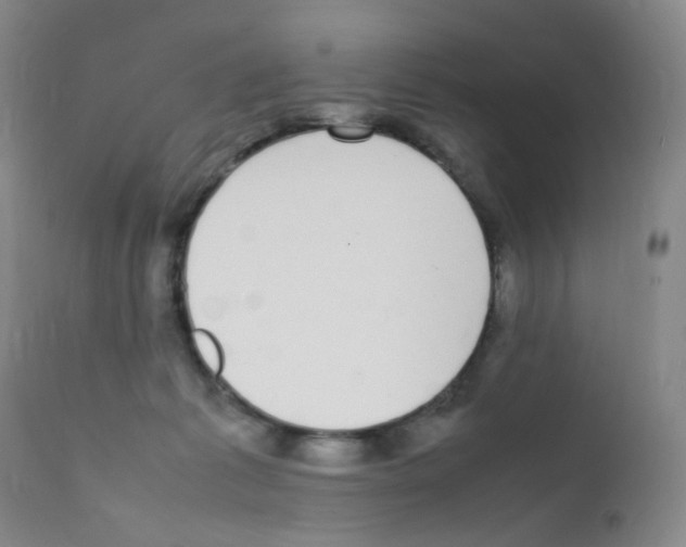 X0000111850221200909031735