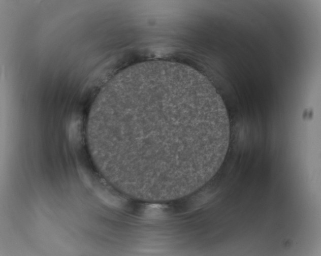 X0000111850222200909031735