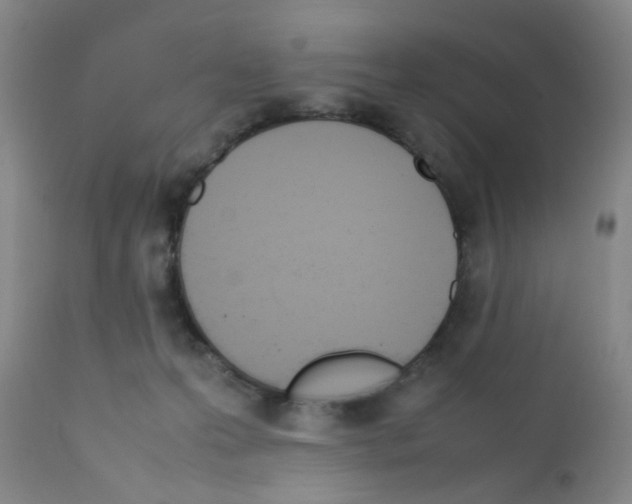 X0000111850223200909031735