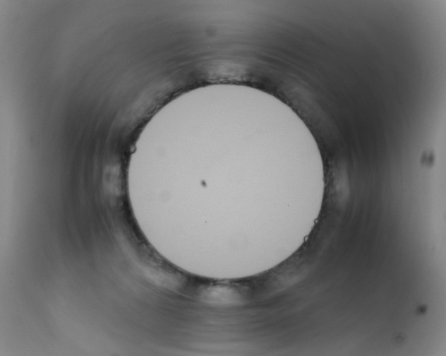 X0000111850224200909031735