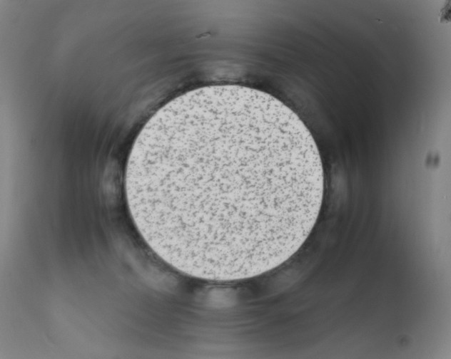 X0000111850228200909031735