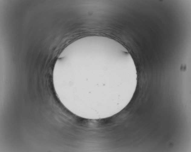 X0000111850229200909031735