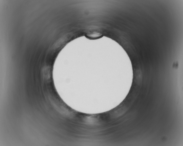 X0000111850232200909031735