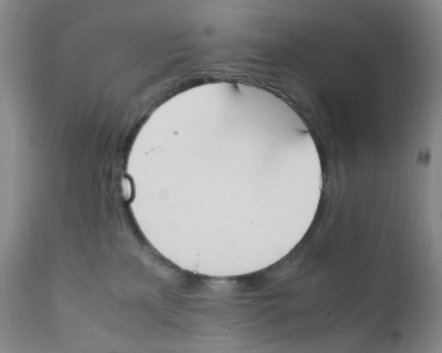 X0000111850233200909031735