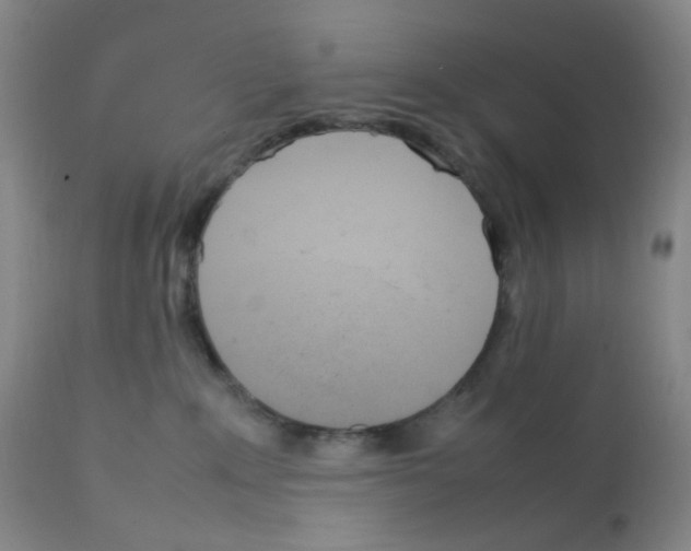 X0000111850235200909031735