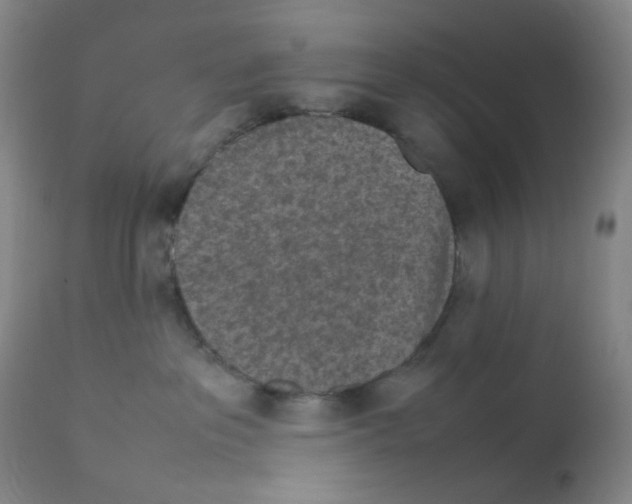 X0000111850237200909031735