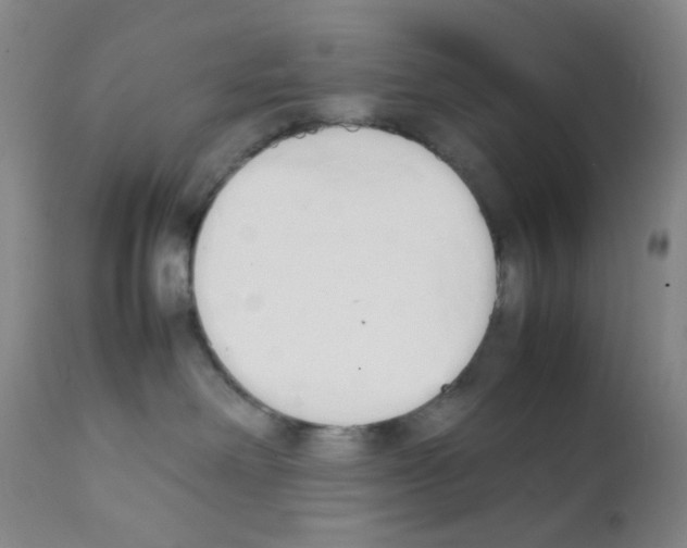 X0000111850238200909031735