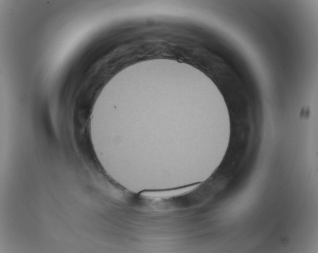 X0000111850239200909031735