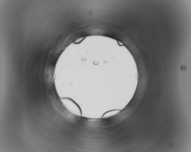 X0000111850240200909031735