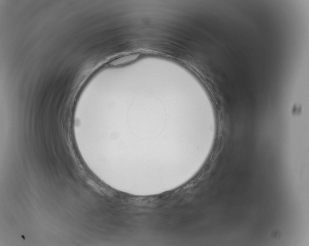 X0000111850241200909031734