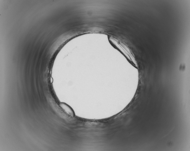 X0000111850242200909031734