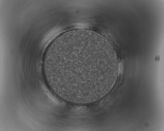 X0000111850243200909031734