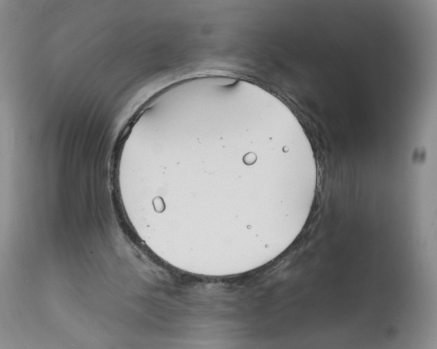 X0000111850244200909031734