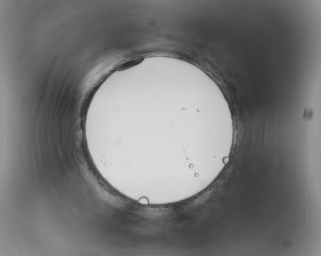 X0000111850245200909031734