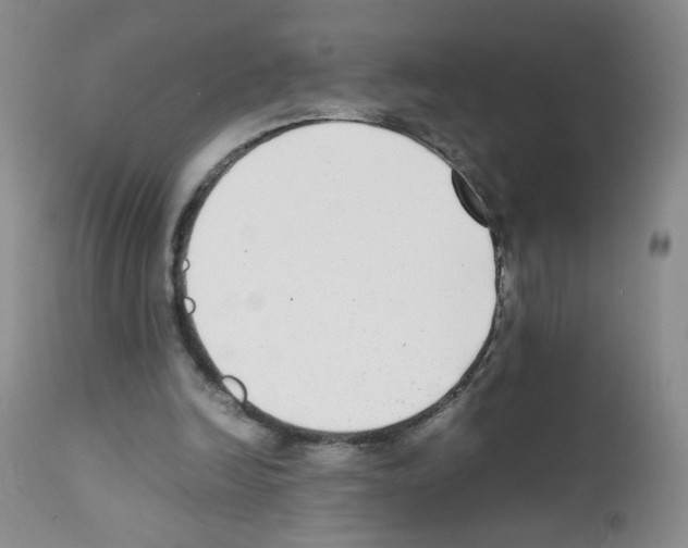 X0000111850246200909031734