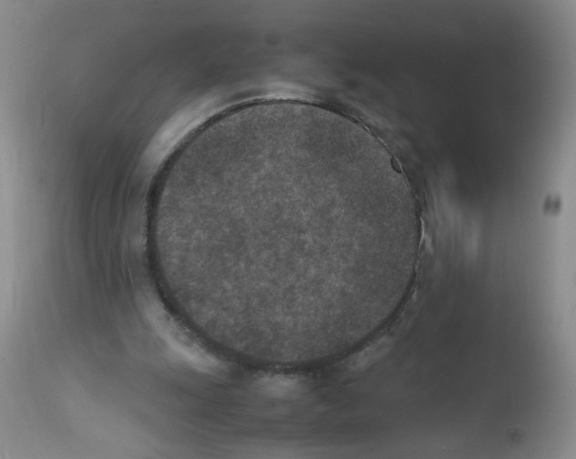 X0000111850247200909031734