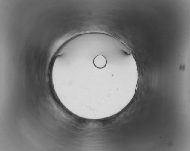 X0000111850248200909031734