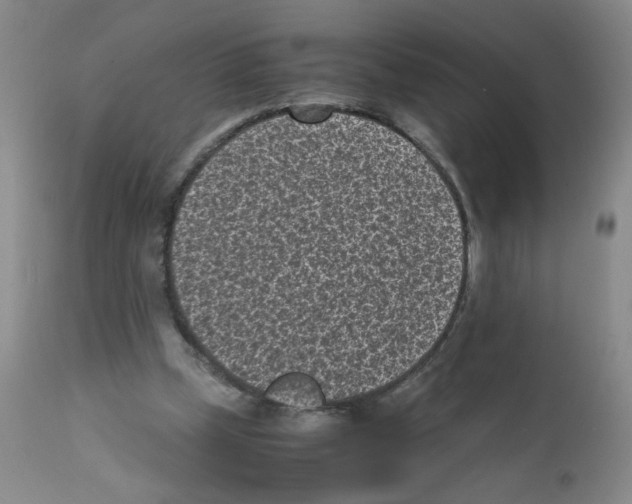 X0000111850249200909031734