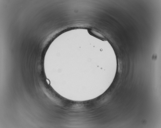 X0000111850252200909031734