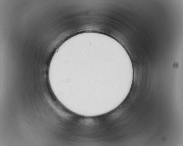 X0000111850253200909031734