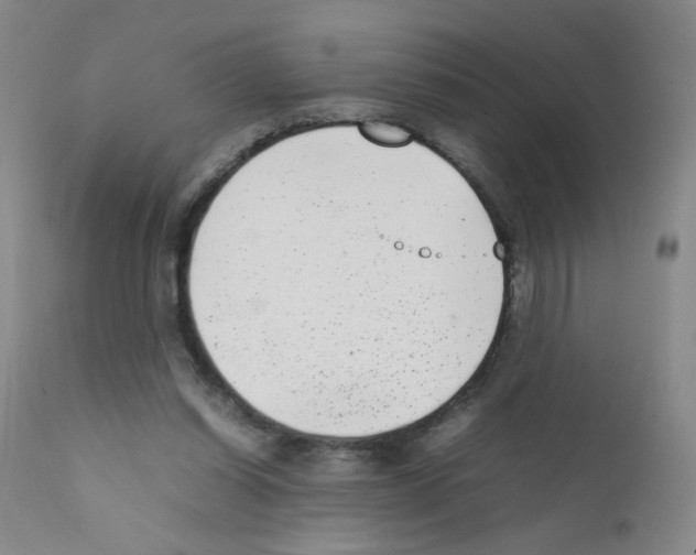 X0000111850254200909031734