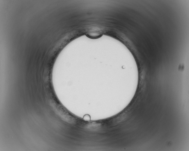X0000111850257200909031734
