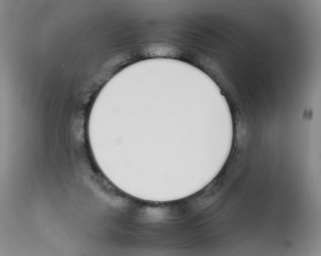 X0000111850259200909031734