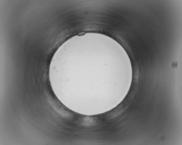 X0000111850261200909031734