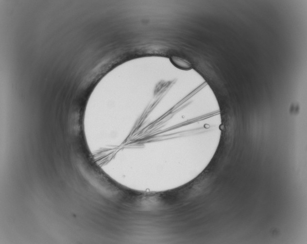 X0000111850262200909031734