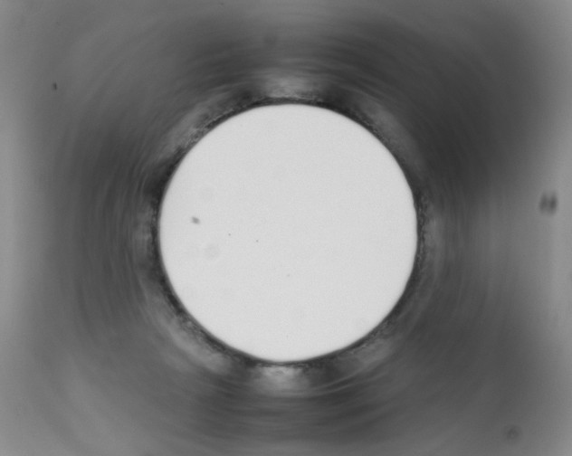 X0000111850265200909031734