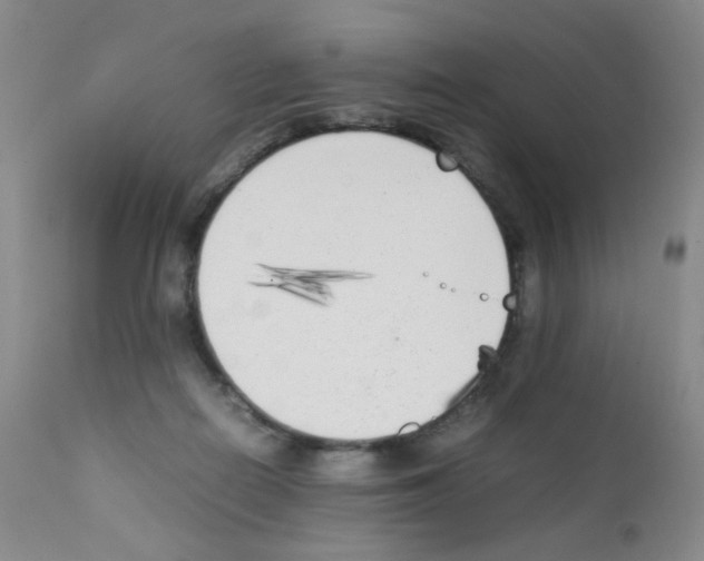 X0000111850266200909031734