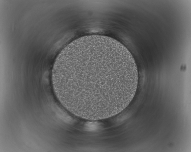 X0000111850269200909031734