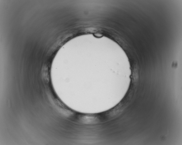 X0000111850270200909031734