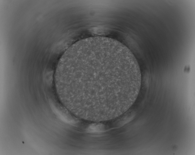 X0000111850271200909031734