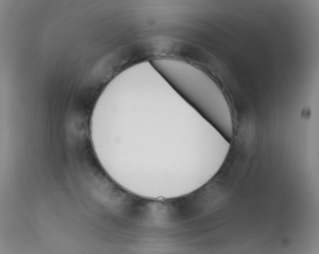X0000111850272200909031734