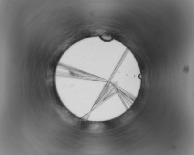 X0000111850274200909031734