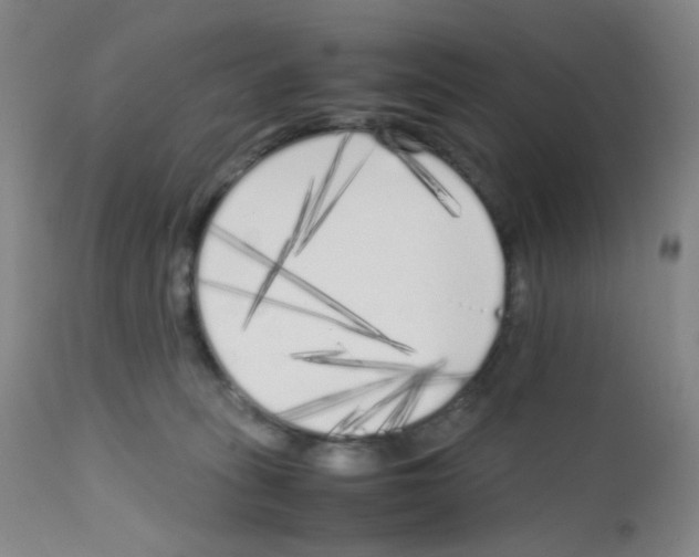 X0000111850275200909031734