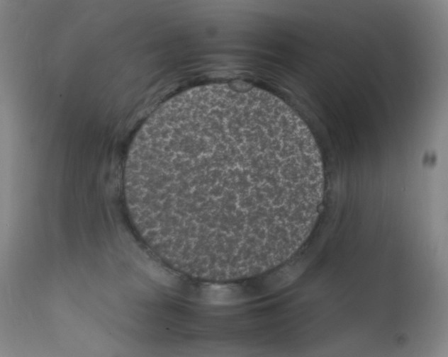 X0000111850277200909031734