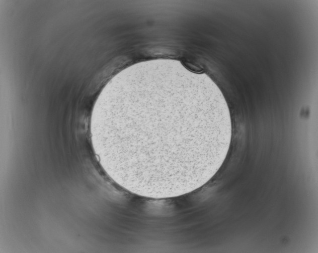 X0000111850281200909031734
