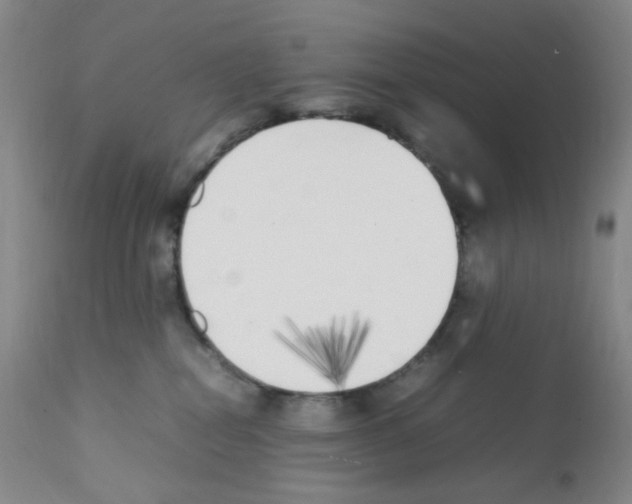 X0000111850282200909031734