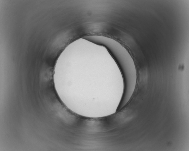 X0000111850284200909031734