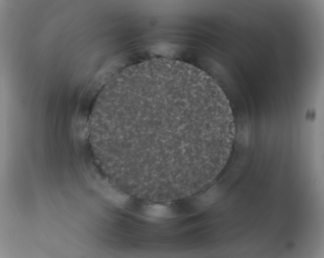 X0000111850285200909031734